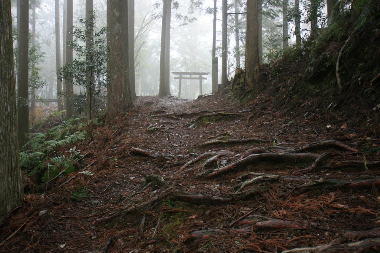 Watarase Onsen Hotel Yamayuri Hongu Zewnętrze zdjęcie